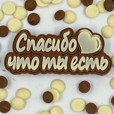 Надпись шоколадная Спасибов Мир клубники в шоколаде по цене 550 ₽