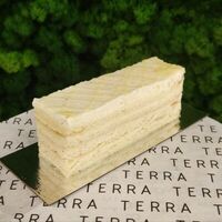 Молочная девочка в Terra Desserts