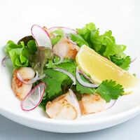 Севиче из гребешка в КИDO