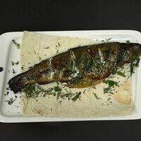 Форель в Кафе Hayatt
