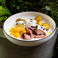 Логотип Вольсов