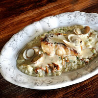 Запечённый судак с грибным ризоттов Blackchops