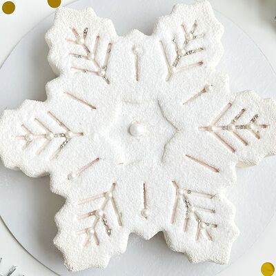 Торт муссовый Снежинка в Tortterry по цене 1450