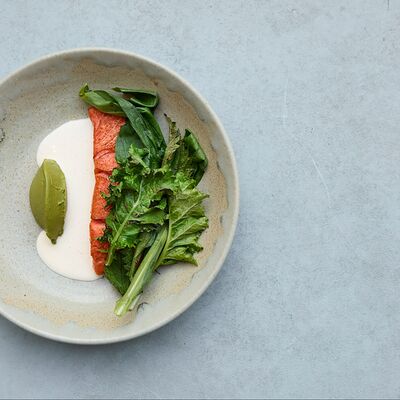 Мурманская форель с ботвой и бер бланом из устриц в 0.75 please Moscow по цене 1600 ₽