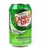 Canada Dry в Fast Food Corner по цене 190