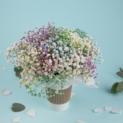 Букет цветов Облако гипсофил в стаканчике в Пышно Расцвели по цене 1500 ₽