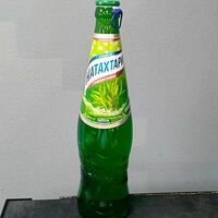 Натахтари Тархунв Юность