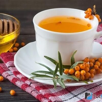Айс-чай Чиллин Medium в Surf Coffee x Travel по цене 345 ₽