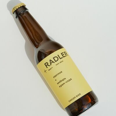 Ginger 0,33 в TECHNODONER по цене 450 ₽