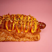 Логотип Gastro Dog