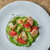 Гребешок с томатами и зеленым тайгером в Turandot