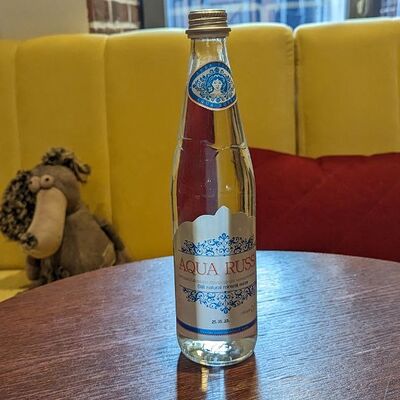 Вода Aqua Russia в Джо не делится едой по цене 150 ₽