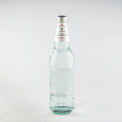 Galvanina без газа 750мл в Южанин по цене 96000 сум