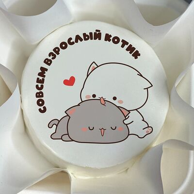 Бенто-торт с котиками в Tort4u по цене 1590 ₽