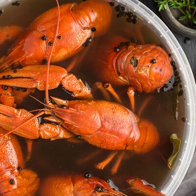 Рак вареный в огуречном рассоле со сметаной в Раки Кусаки по цене 1000 ₽