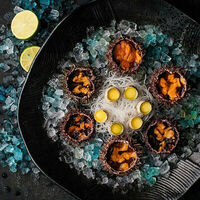 Морской еж в Терраса