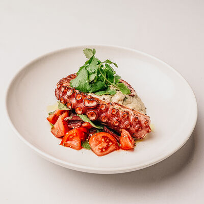 Марокканский осьминог с пюре из баклажанов в Клёво по цене 3100 ₽