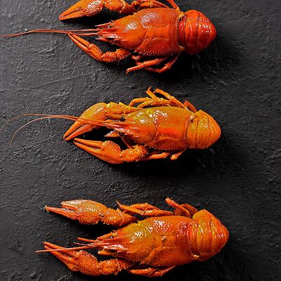 Рак средне-крупный вареный в Раки Кусаки по цене 5500 ₽