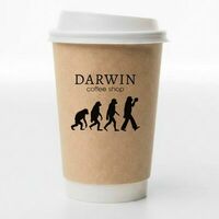 Латте медово-ореховый большой в Darwin Coffee Workshop