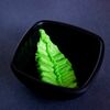 Васаби в SushiShark по цене 40
