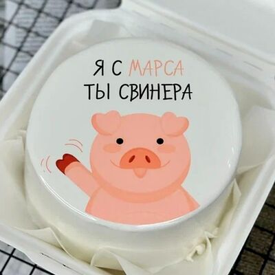 Бенто-торт Я с марса, ты свинера в Tort4u по цене 1590 ₽