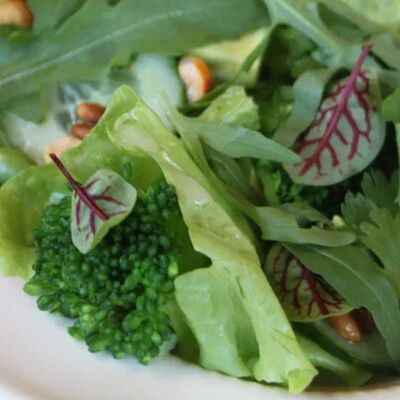 Зеленый салат с авокадо и кедровым орехом в Гербарий по цене 550 ₽