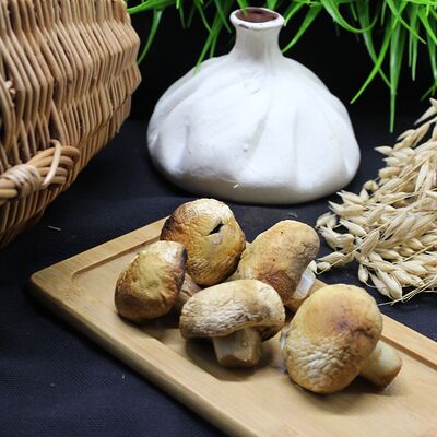 Шашлык из шампиньонов в Кафе Хинкальная по цене 410 ₽