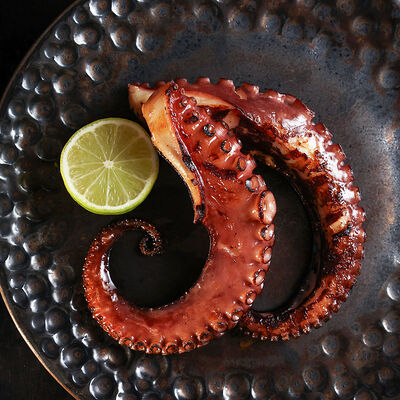 Осьминог в Морской по цене 3980 ₽