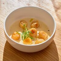 Гребешок с соусом фенхель в True Crab