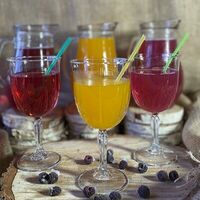 Клюквенный морс (слева) в Lesnik