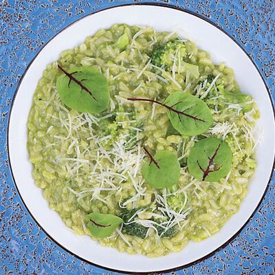 Зеленое ризоттов Тальятелло по цене 750 ₽