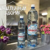 Вода Карачинская в Шашлычный дворик