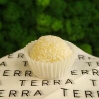 Трюфель Кокос в Terra Desserts