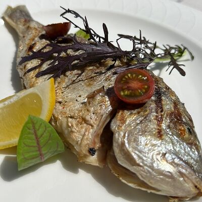 Дорадов Wine & Vine по цене 2145 ₽