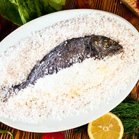 Сибас в Строгинская гавань