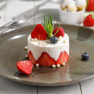 Сметанник в ЛарисуВаннуХочу по цене 590