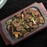 Пулькоги в Инсам