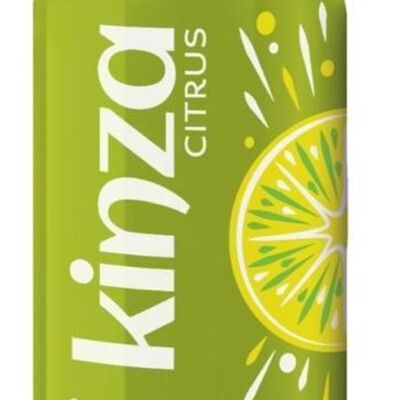 Kinza Citrus в Пирогофф по цене 120 ₽