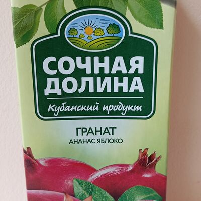 Сок Сочная долина в Шаурму люблю по цене 95 ₽