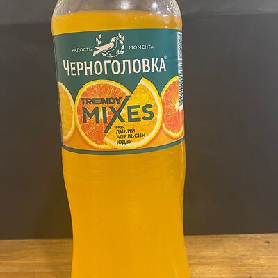 Лимонад Черноголовка Апельсин в На углях 48 по цене 160 ₽