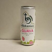 Лимонад Botanica гуава в True cafe