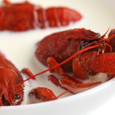 Раки размера S в молоке в Раковарня FiSH&CRAB - 1 по цене 3970 ₽