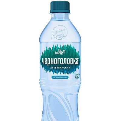 Вода Черноголовка без газа в Kuksu House по цене 150 ₽