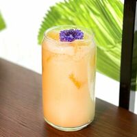 Фирменный лимонад Ананас-Кокос в Раменная Ru-Rik