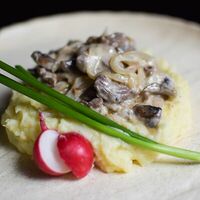 Бефстроганов с грибами и картофельным пюре в Союз