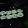 Каппа маки в Yanagi sushi по цене 180