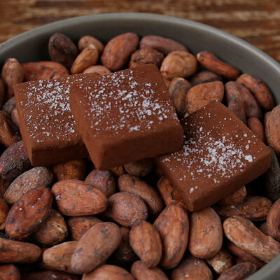 Нама Шоколад с кокосом, вареной сгущенкой в KOJI по цене 390 ₽