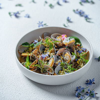 Вонголе с оливками и фисташками в VASILCHUKI Chaihona №1 по цене 1350