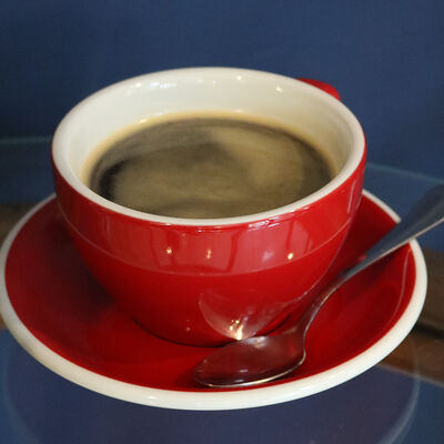 Фильтр в Бодрая выдра по цене 360 ₽