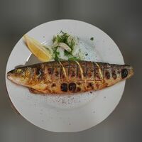 Шашлык из дорадо в Золотое Кольцо